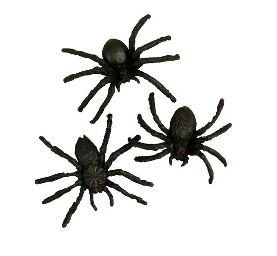 Halloween Spinne