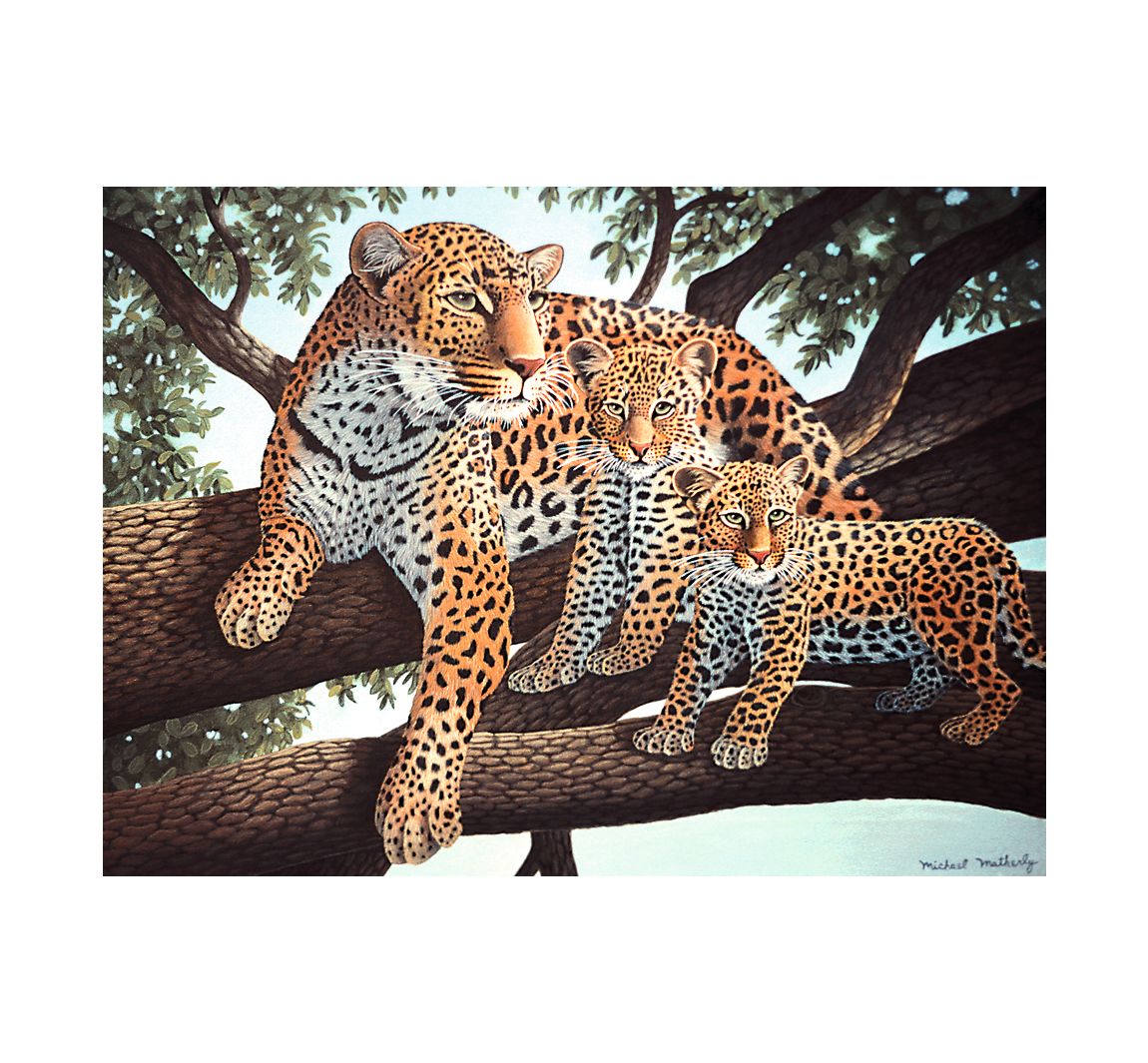Malen nach Zahlen "Leoparden"