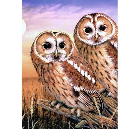 Malen nach Zahlen "Tawny Owls", 22 x 30 cm