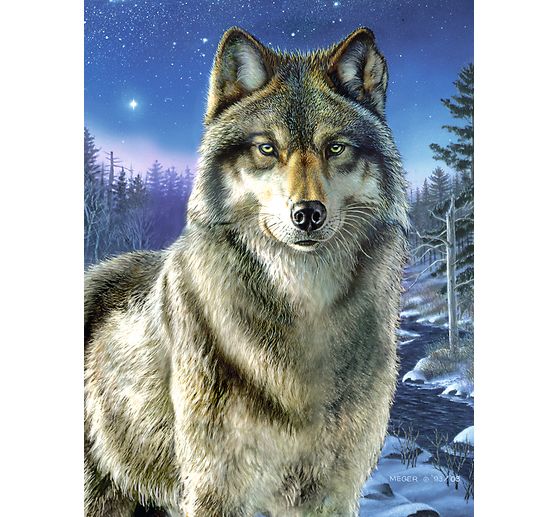 Malen nach Zahlen "Wolf", 23 x 30 cm