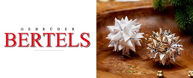 Workshop_bertels