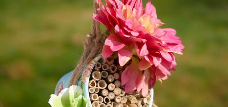 DIY Insektenhäuser