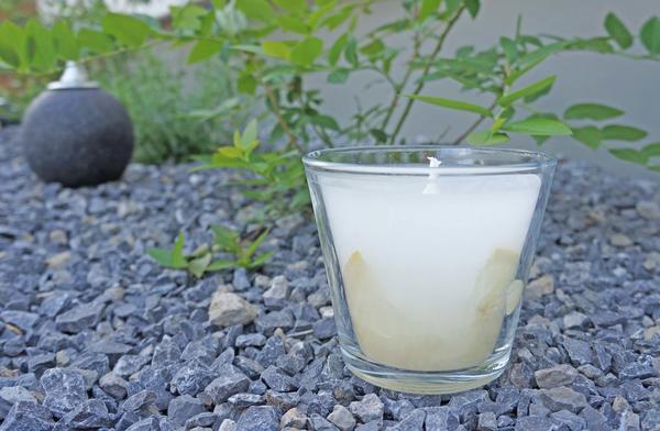 Ergebnis für unsere Citronellakerze mit Schutz gegen Mücken